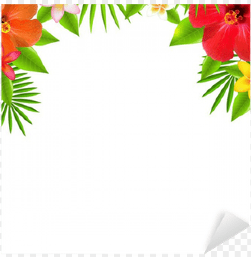 summer, design, certificate, illustration, floral, square, banner