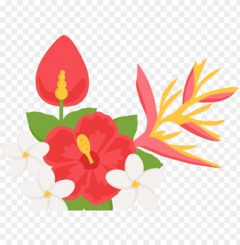 Tropical Flowers Border Png Png Free Stock Tropical Flower Clipart PNG Image With Transparent Background