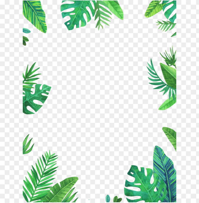 tropical leaves, victorian frame, tropical drink, text frame, floral frame, snow frame