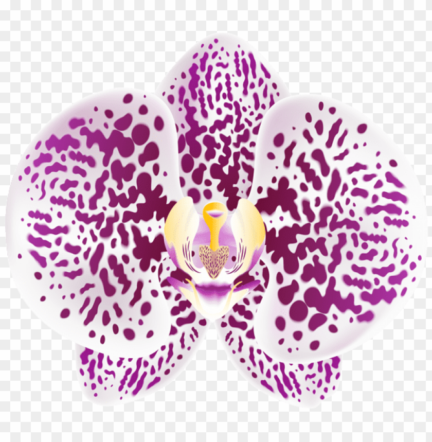tropical orchid transparent