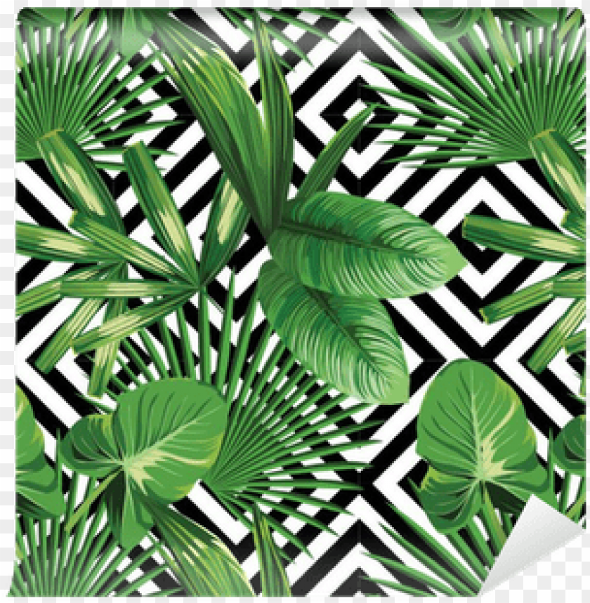 tropical palm leaves pattern, geometric background - palm leaves PNG image  with transparent background | TOPpng