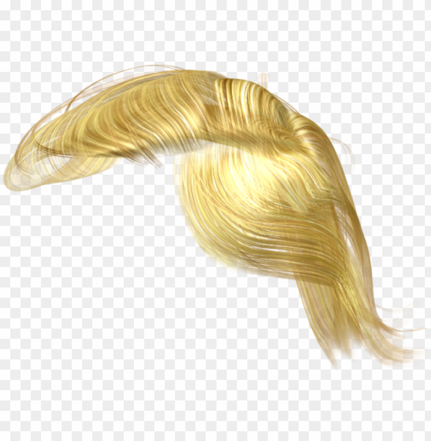 Trump Hair Clipart Stock Trump S Hair Png Transparent Png Image With Transparent Background Toppng - download straight blond hair roblox girl blonde hair png free png images toppng