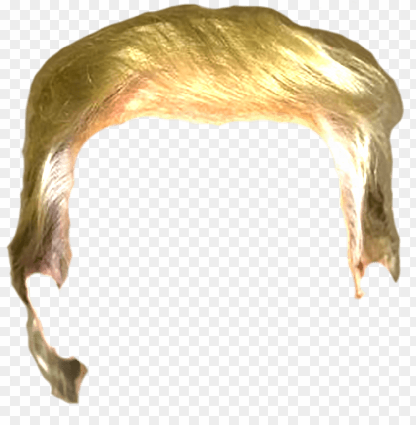 trump wig PNG image with transparent background@toppng.com