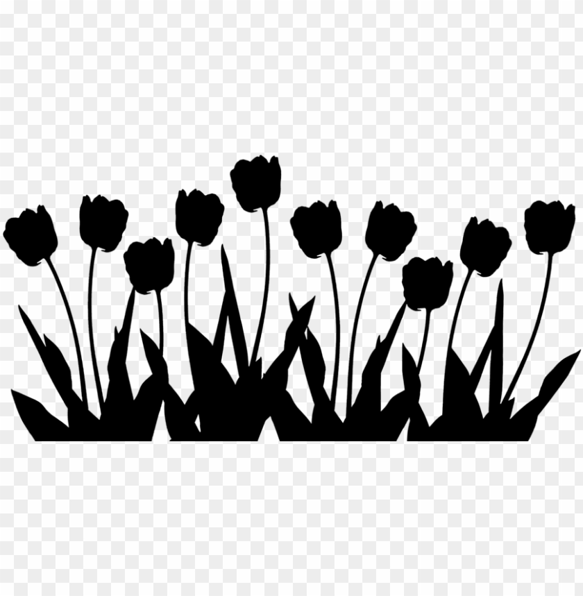 flower, tulip, illustration, bouquet, leaf, isolated, flowers