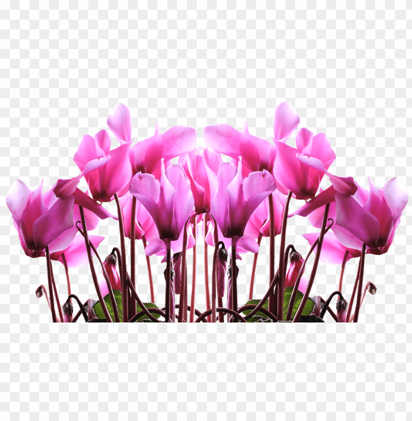 tulip stencil free 25, - happy mothers day 2018, mother day