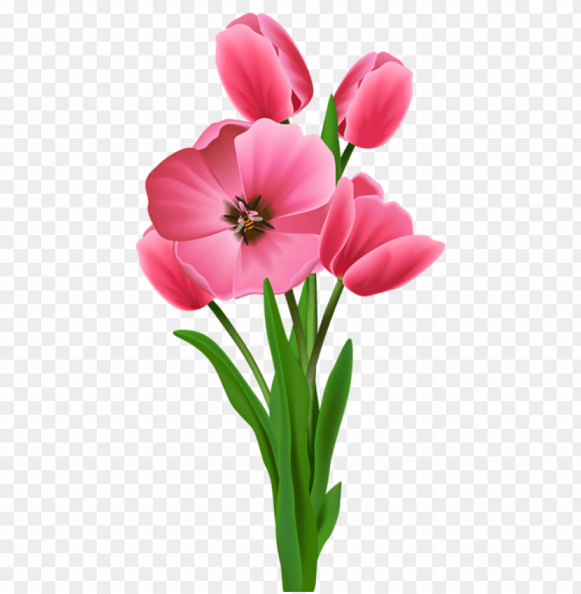 flowers png, spring png, flower png, pink flower, tulips, pink tulip