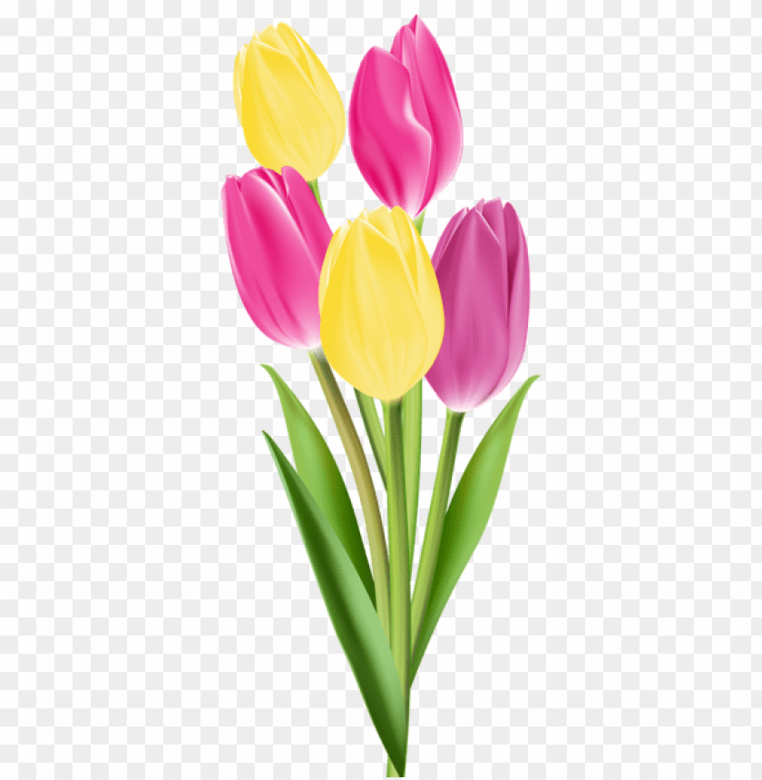 flowers png, spring png, flower png, yellow flower, pink flower, tulips, pink tulip