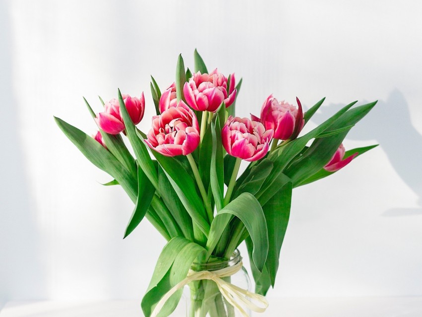 tulips, flowers, bouquet, pink, vase