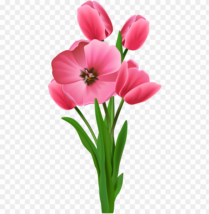 tulips transparent- happy mother's day pinky, mother day