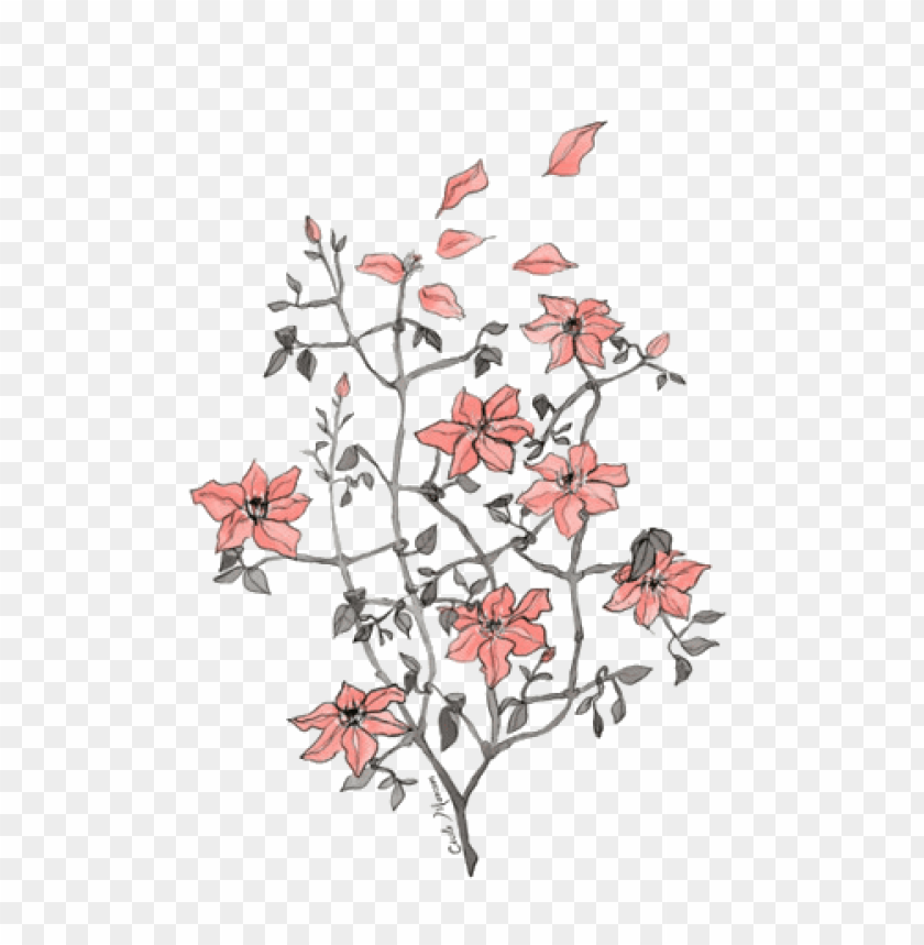 tumblr flowers transparent, flower,flowers,tumblr,transpar,transparent