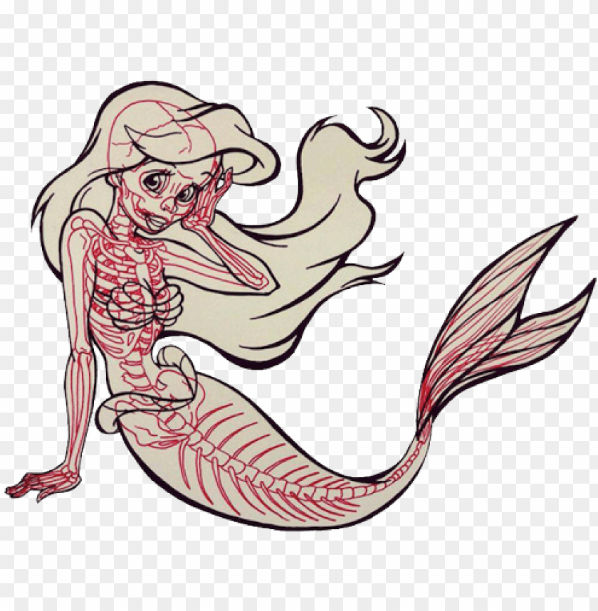 Tailed Mermaid Pic Drawing  Drawing Skill