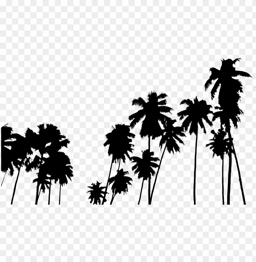 tumblr png palm tree wallpapers for iphone PNG transparent with Clear Background ID 206013