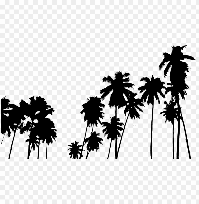 Tumblr - Palm Tree Wallpapers For Iphone PNG Transparent Background