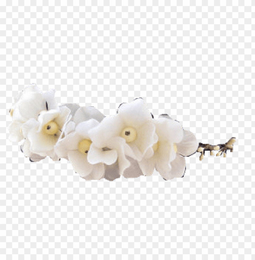 tumblr transparent flower crown PNG transparent with Clear Background ID 114207