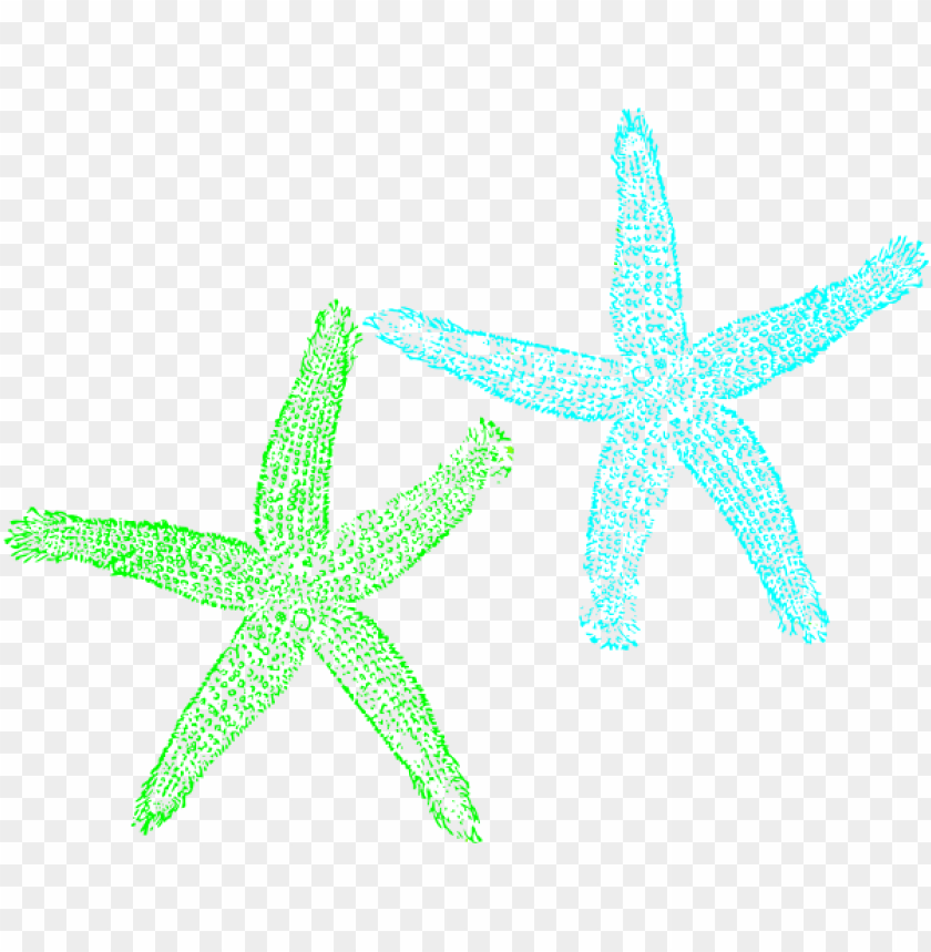Download Turquoise And Lime Green Starfish Png Svg Clip Art Png Image With Transparent Background Toppng