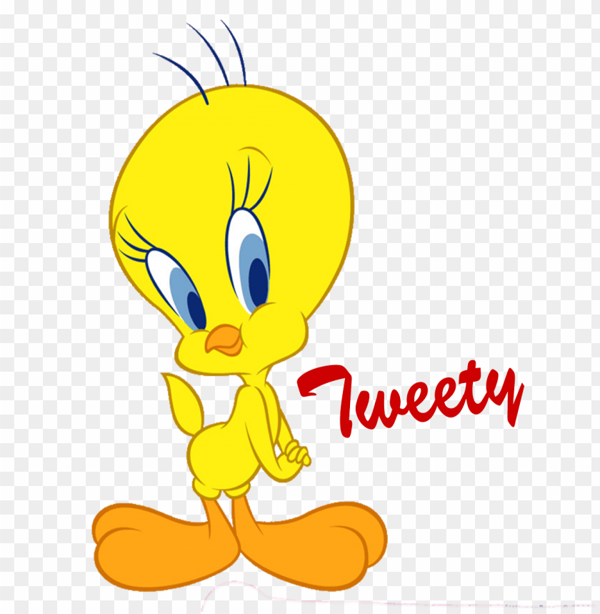 tweety photo clipart png photo - 37750
