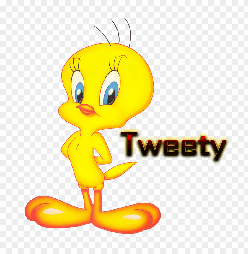 tweety png clipart png photo - 37749
