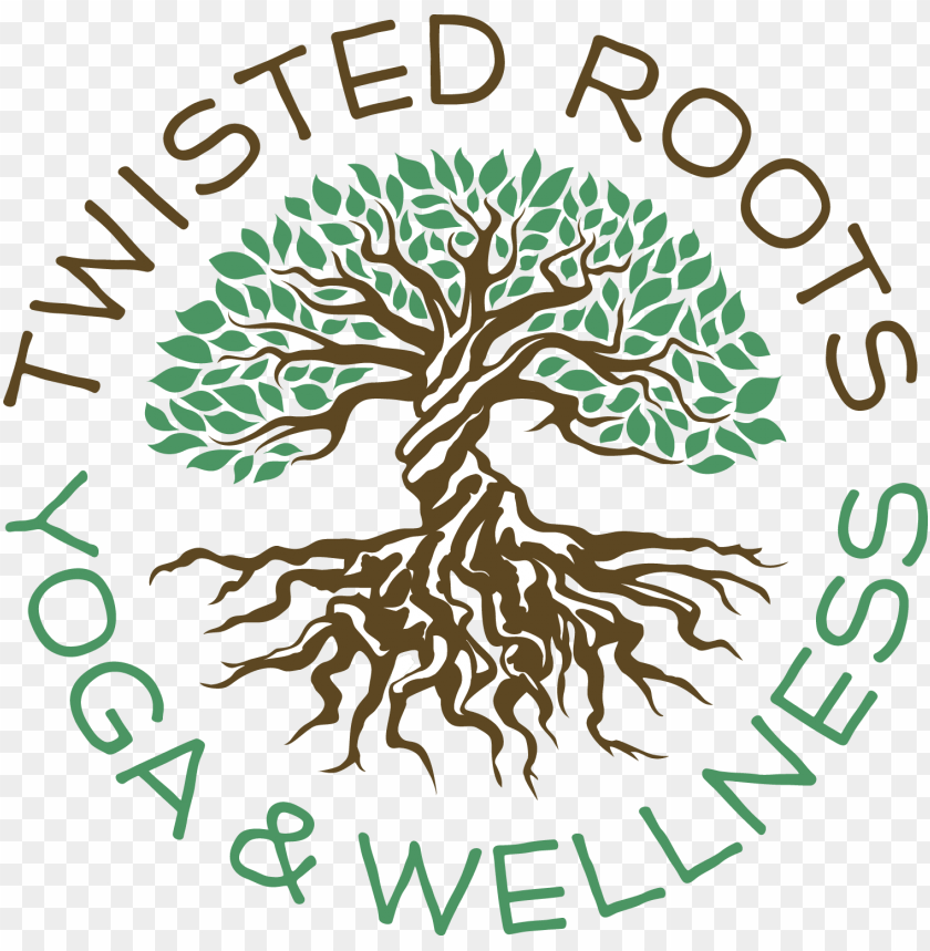twist, fitness, tree roots, health, swirl, meditation, root