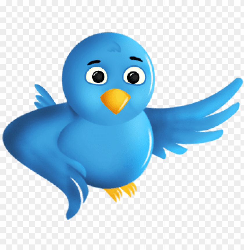 twitter bird PNG image with transparent background | TOPpng