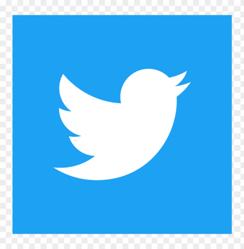  twitter icon square vector - 461303