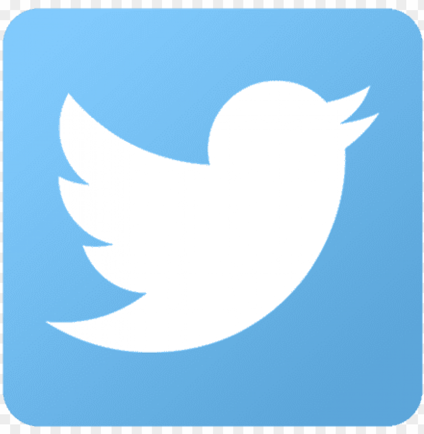 twitter logo png square PNG image 