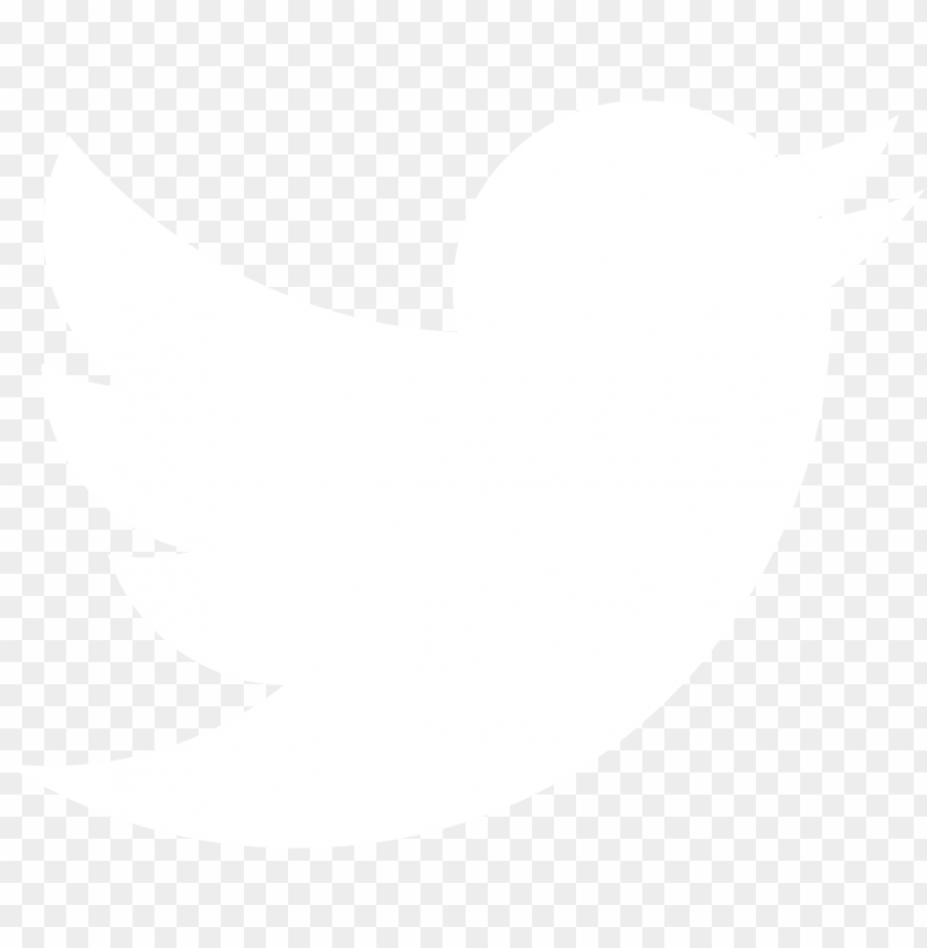 twitter icon white transparent PNG image with transparent background |  TOPpng