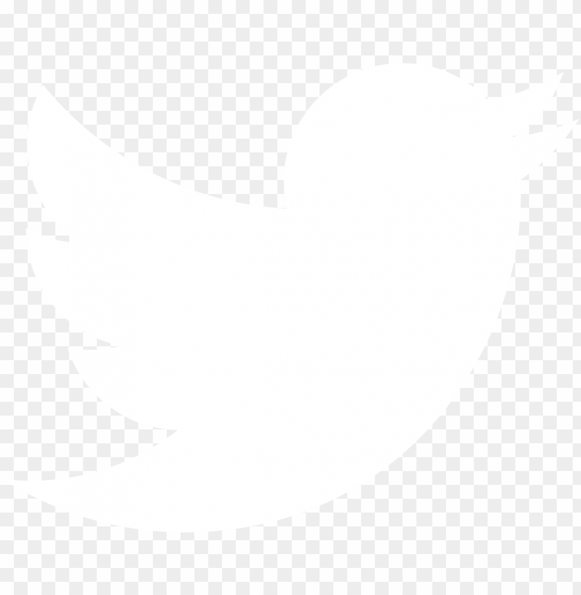 white twitter logo png