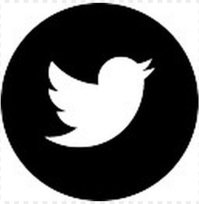 Twitter Logo Button Png Free Png Images Toppng