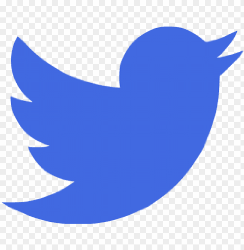 twitter high,twitter,bird, new, single, twitter n | n search engine#93,twitter bird.png