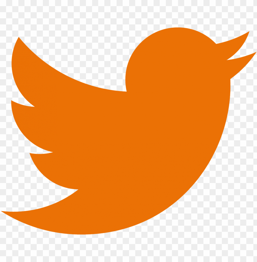 twitter, logo, png, orange