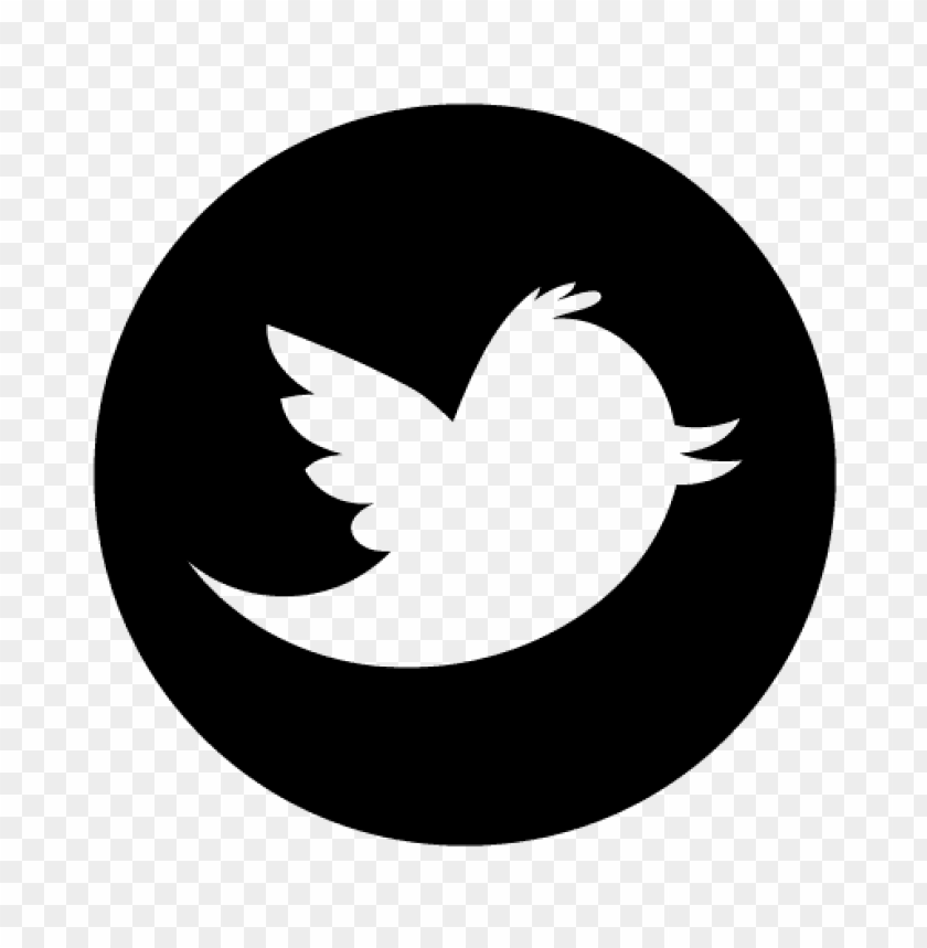 twitter high,twitter,bird, new, single, twitter n | n search engine#93,twitter bird.png