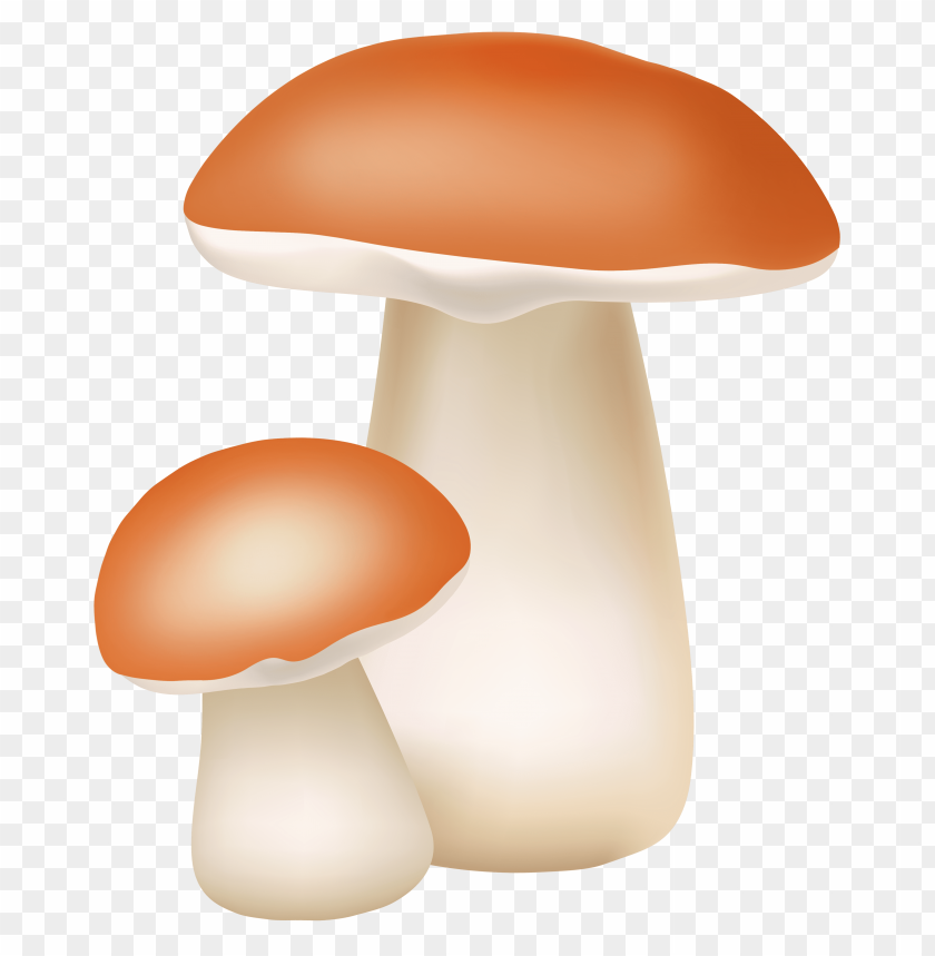 cliaprt, mushrooms, two