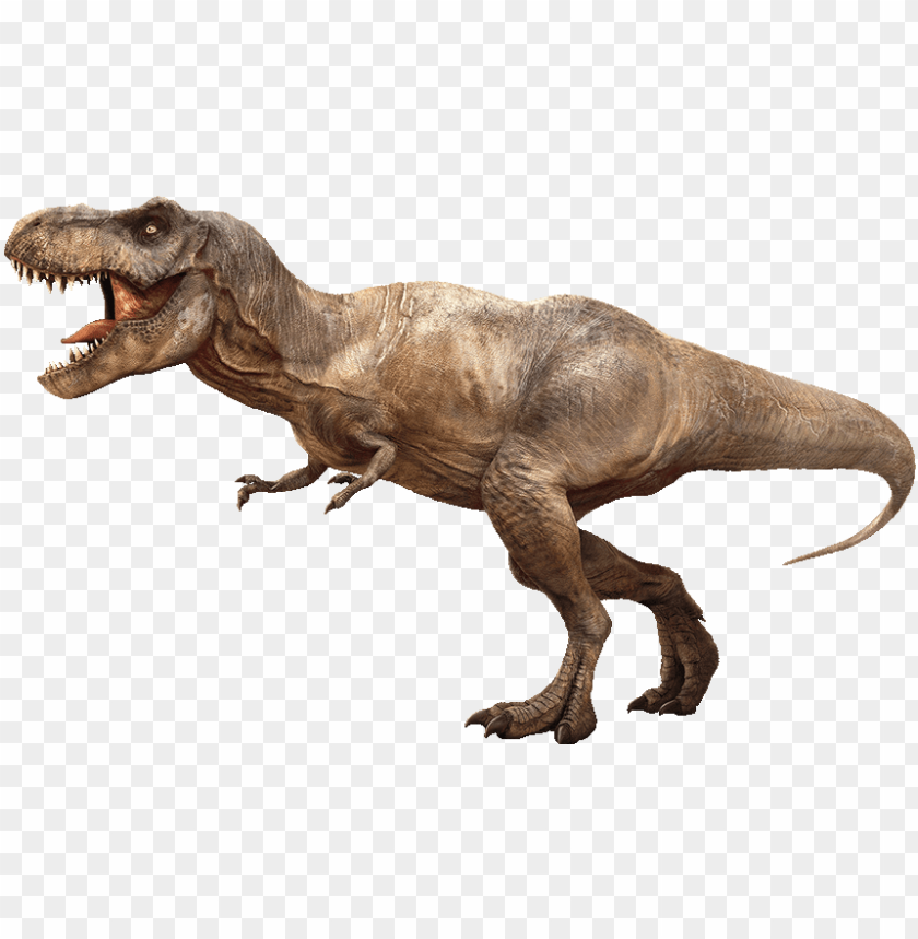 tiranossauro rex dinossauro 19029462 PNG