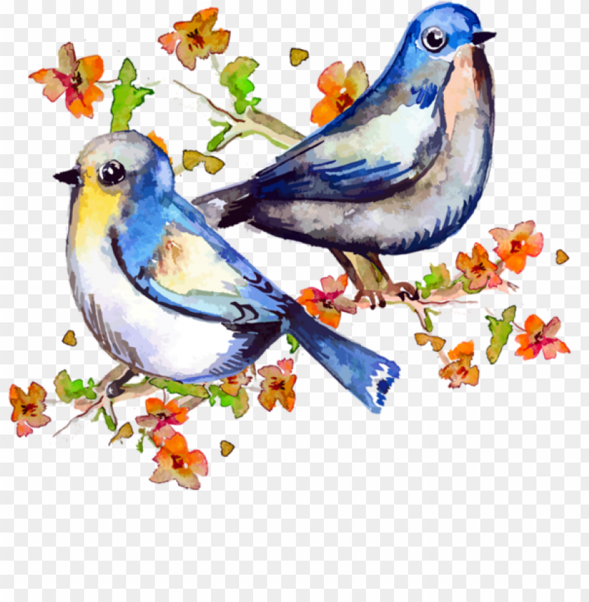 symbol, watercolor flower, bird, water color, summer, watercolor flowers, nature