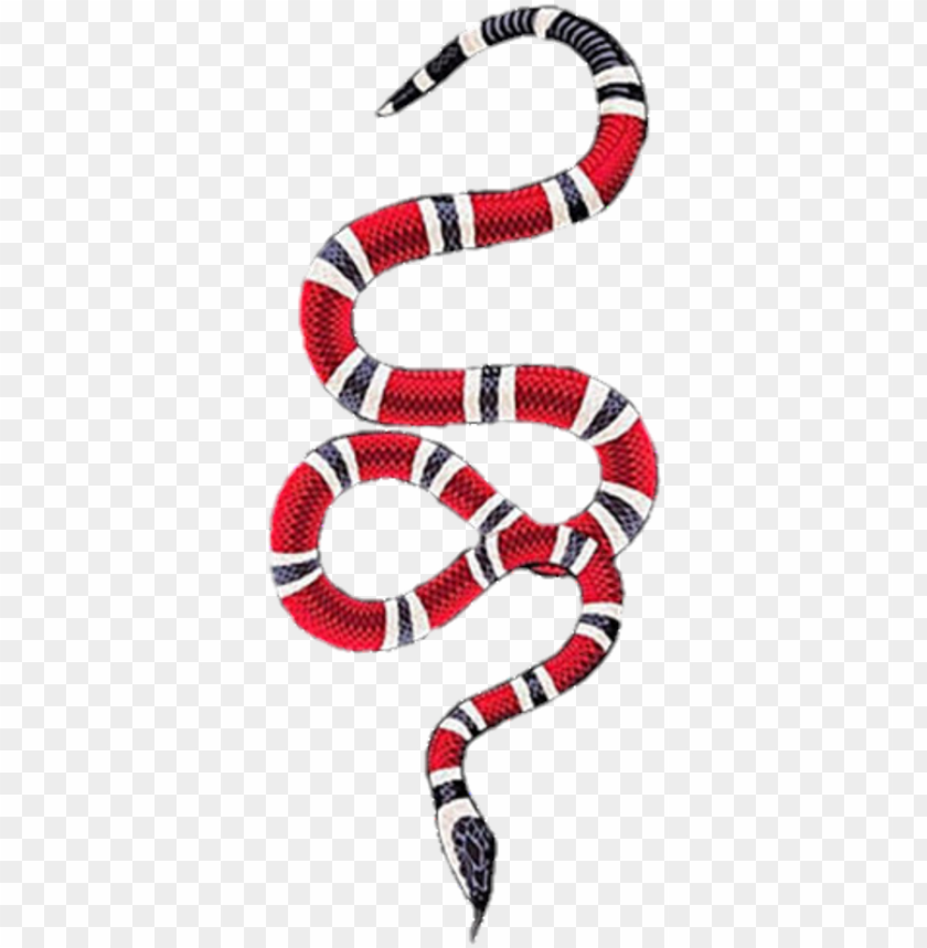 gucci snake background