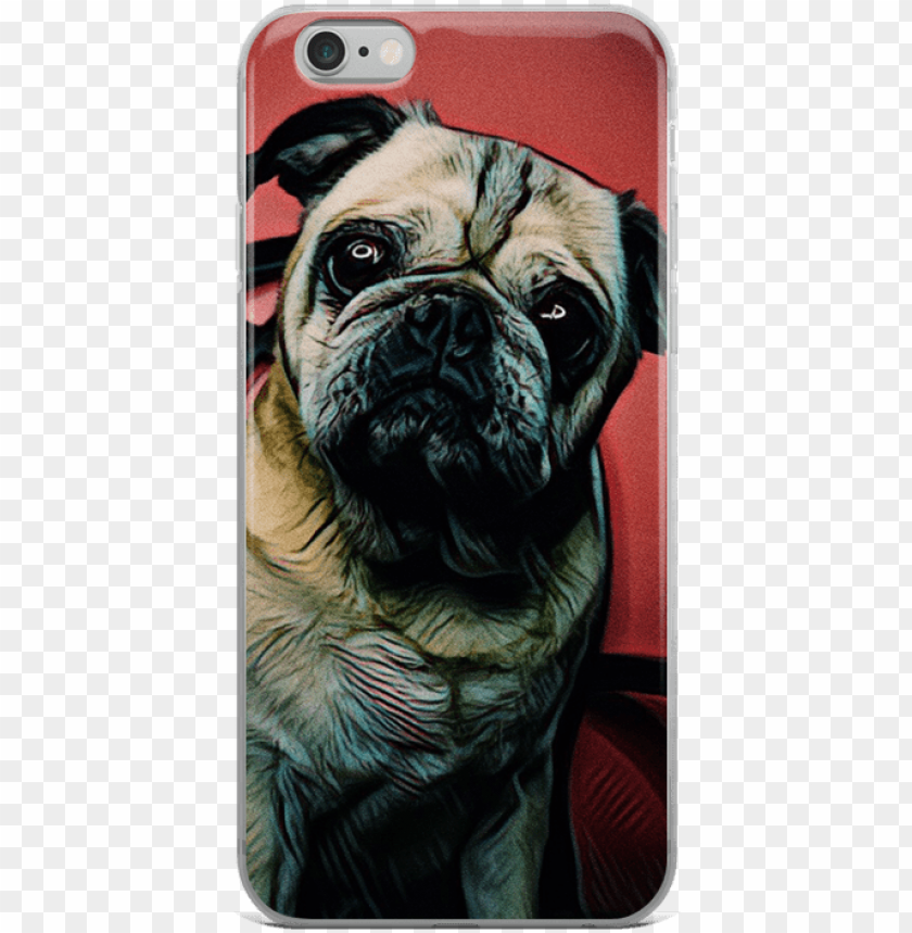 dog, phone, phone icon, cover, pet, isolated, telephone