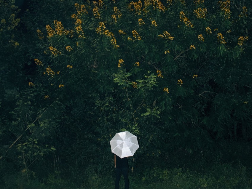 umbrella, grass, man, flowers, loneliness