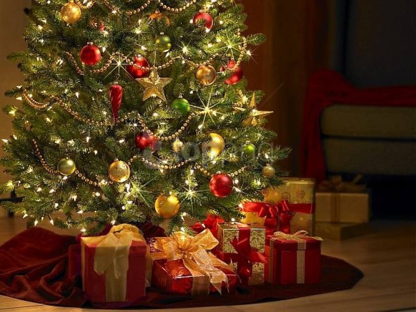 under the christmas tree background best stock photos | TOPpng