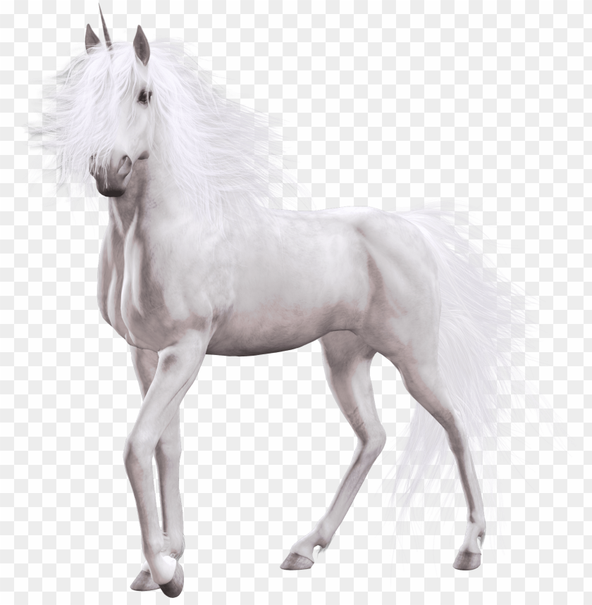 horse, horse head, isolated, unicorn, animal, pony, pharmacy