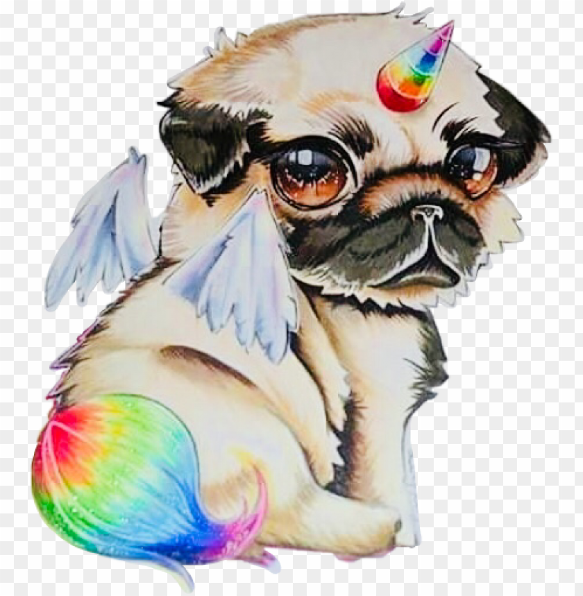 Unidog Rainbow Anime Chibi Kawaii Buntereihe Freetoedi Draw A Unicorn Do Png Image With Transparent Background Toppng - unicorn anime roblox girl