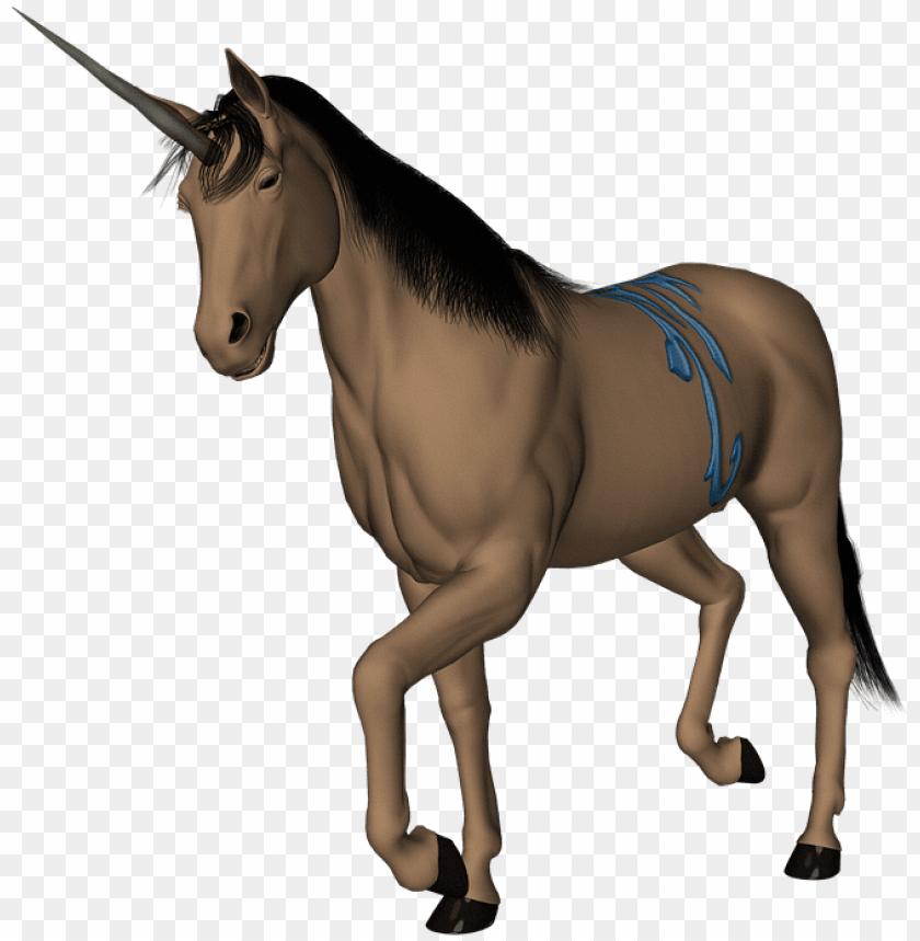 unrn horse fantasy creature fairytale horn caballo y unrnio PNG transparent with Clear Background ID 144895