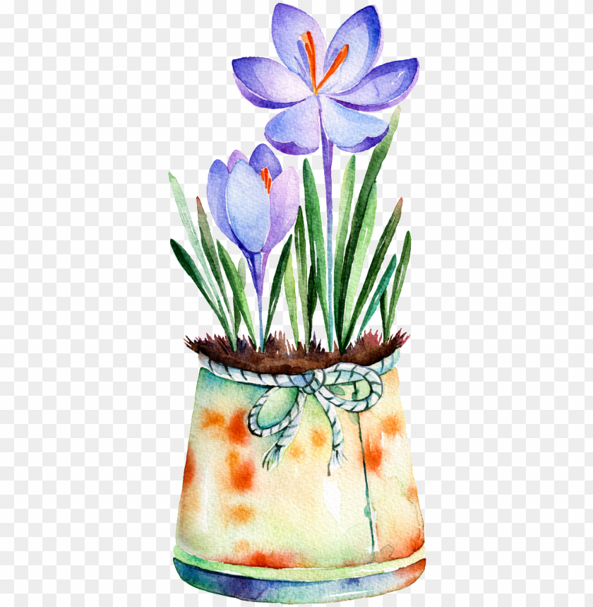 urple flower potted hand painted watercolor transparent - quotes by helen barry PNG image with transparent background@toppng.com