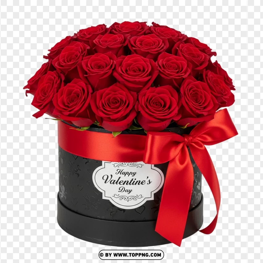 Valentines Day Red Roses In Black Gift Box PNG Transparent Background