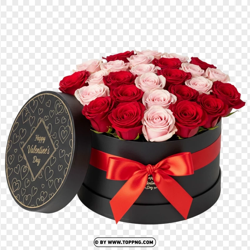 Valentines Day Roses In Black Gift Box PNG Transparent Background