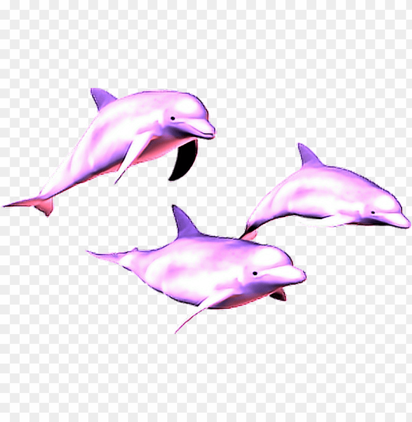 free PNG vaporwave aesthetic dolphins - vaporwave dolphi PNG image with transparent background PNG images transparent
