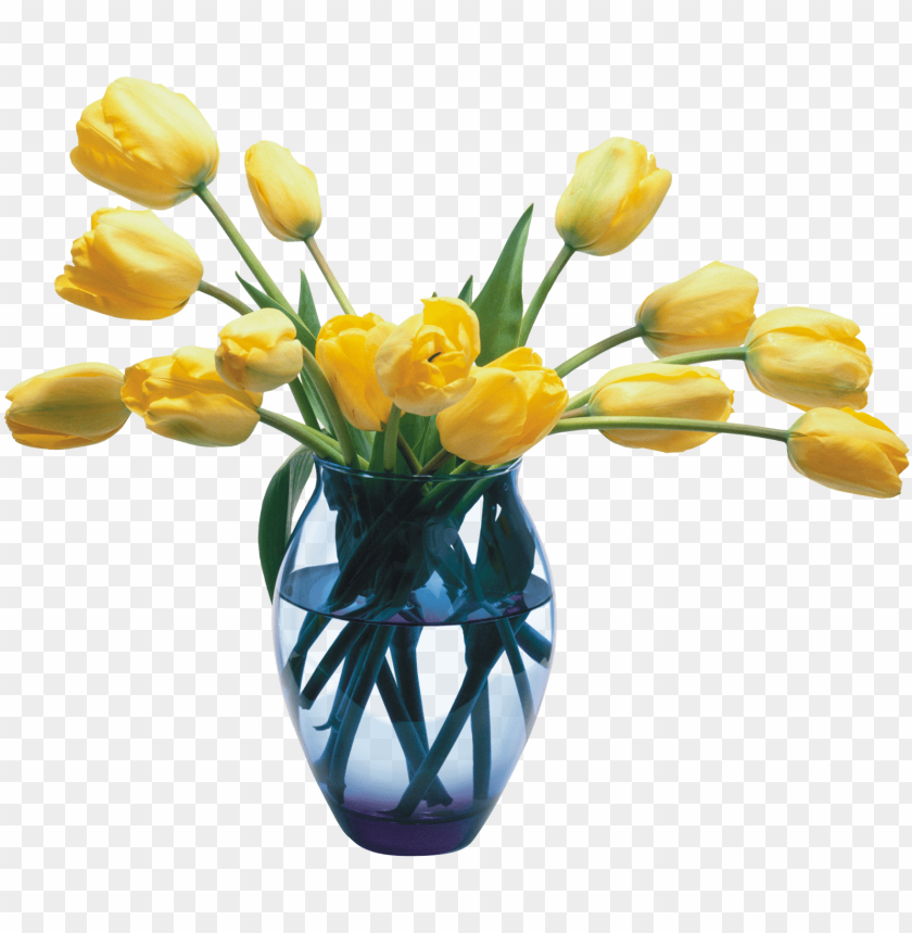 Transparent Background PNG of vase - Image ID 16761