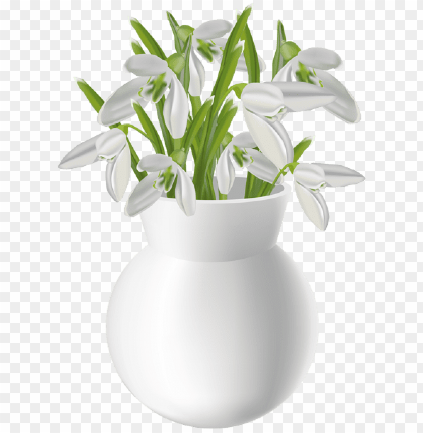 vase with snowdrops transparent