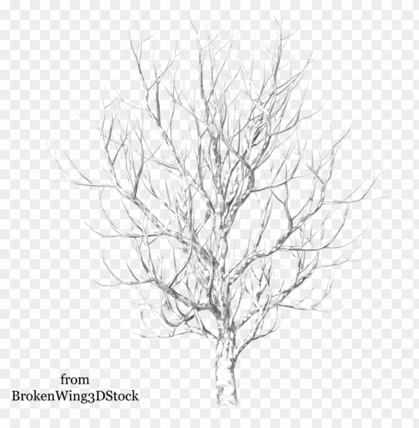 Vector Freeuse Stock Winter By Brokenwing Dstock On - Winter Snow Tree PNG Image With Transparent Background