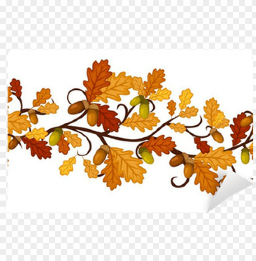 background, forest, fall, oak tree silhouette, food, maple, season