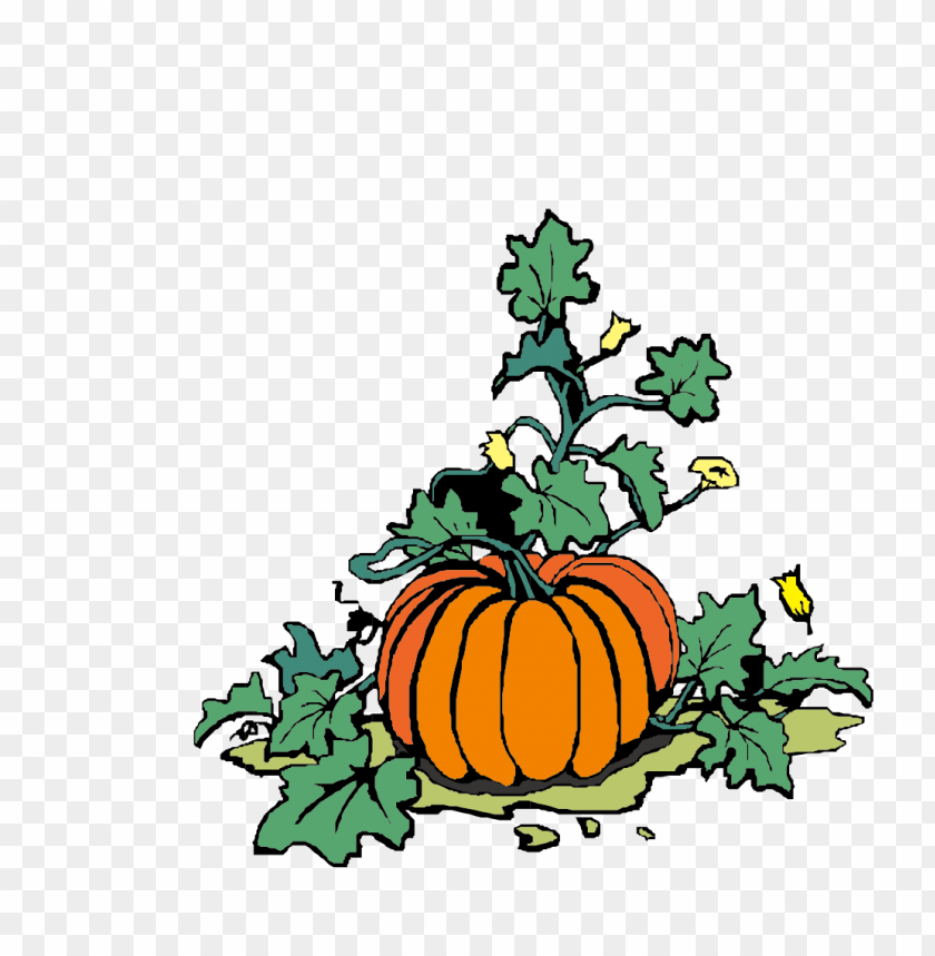 vector pumpkin with green leaves, vector pumpkin with green leaves png file, vector pumpkin with green leaves png hd, vector pumpkin with green leaves png, vector pumpkin with green leaves transparent png, vector pumpkin with green leaves no background, vector pumpkin with green leaves png free